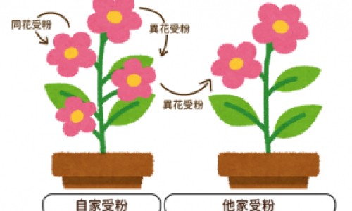 孕妇总胆汁酸大于2是什么意思-孕妇胆汁酸和总胆汁酸有什么区别网- 怀孕期间总胆汁酸偏高知识,分享孕妇总胆汁酸在升高怎么办